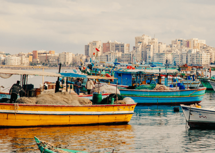 Alexandria Scenes | Egypt in the Golden Age of Travel Tour | Luxury Tour of Egypt